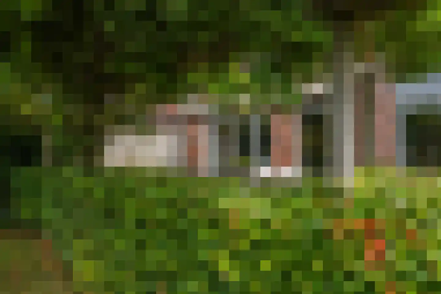 Scheidiuslaan 27 Arnhem thumbnail 19