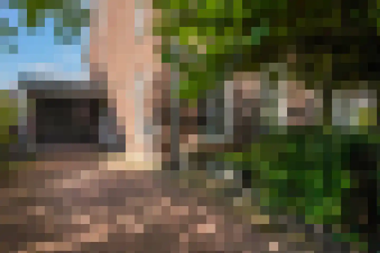 Scheidiuslaan 27 Arnhem thumbnail 26