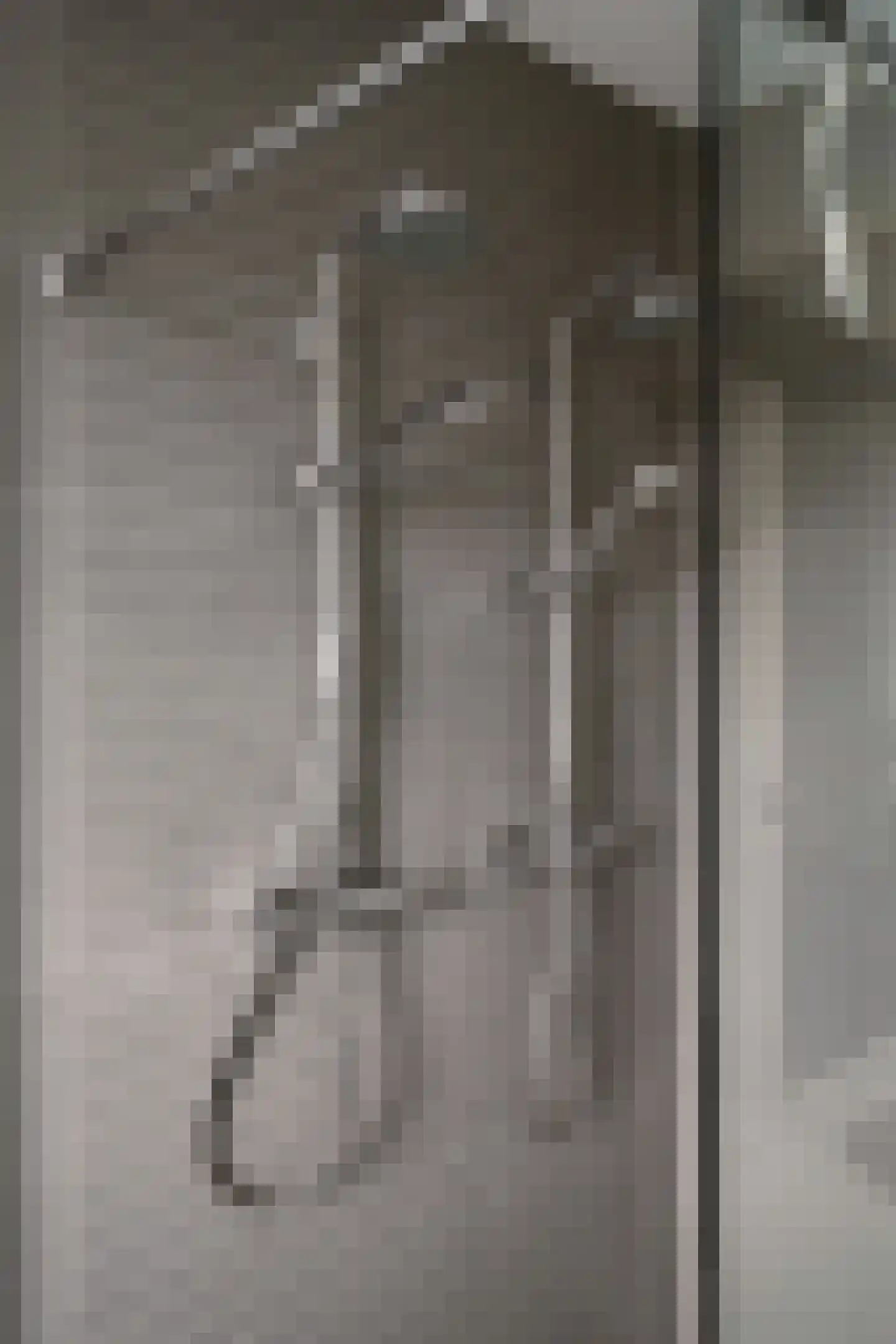 Scheidiuslaan 27 Arnhem thumbnail 27
