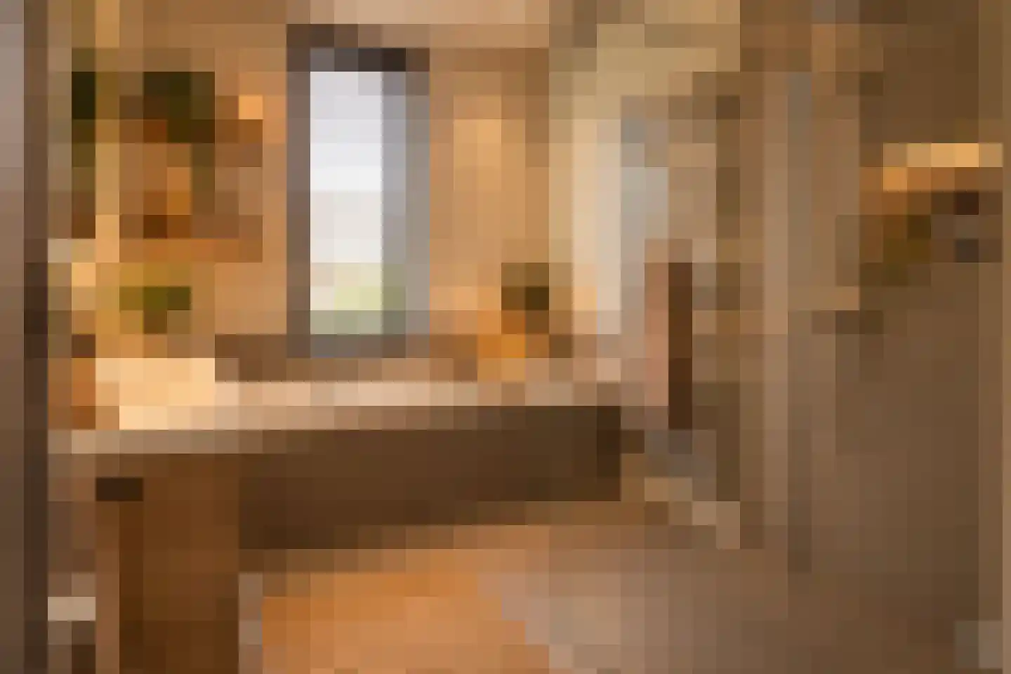 Scheidiuslaan 27 Arnhem thumbnail 28