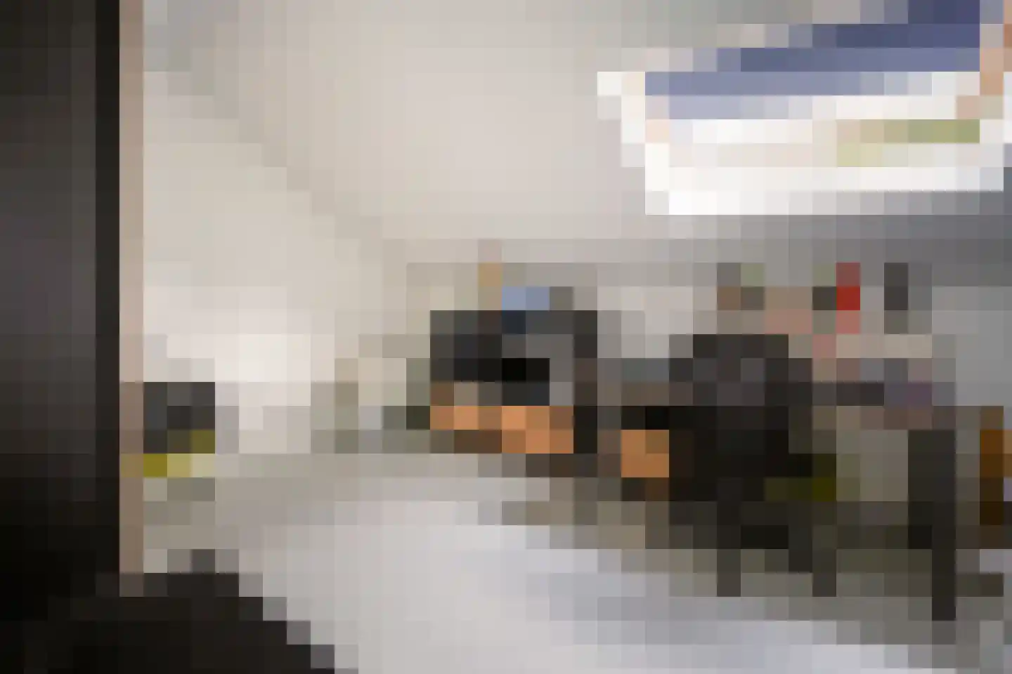 Scheidiuslaan 27 Arnhem thumbnail 29