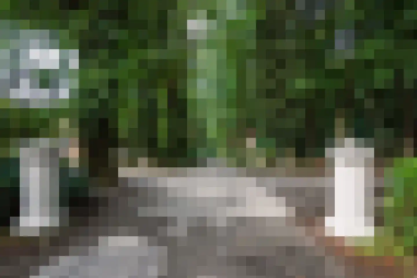 Scheidiuslaan 27 Arnhem thumbnail 30