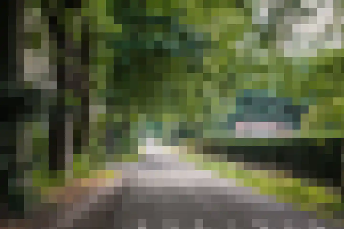 Scheidiuslaan 27 Arnhem thumbnail 31