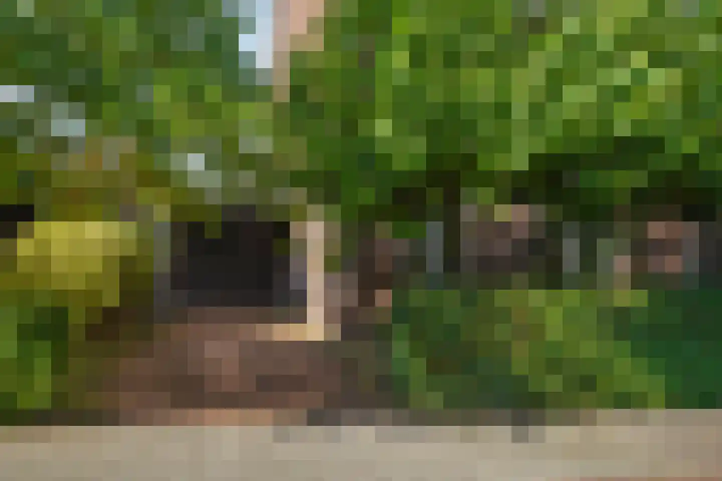Scheidiuslaan 27 Arnhem thumbnail 32