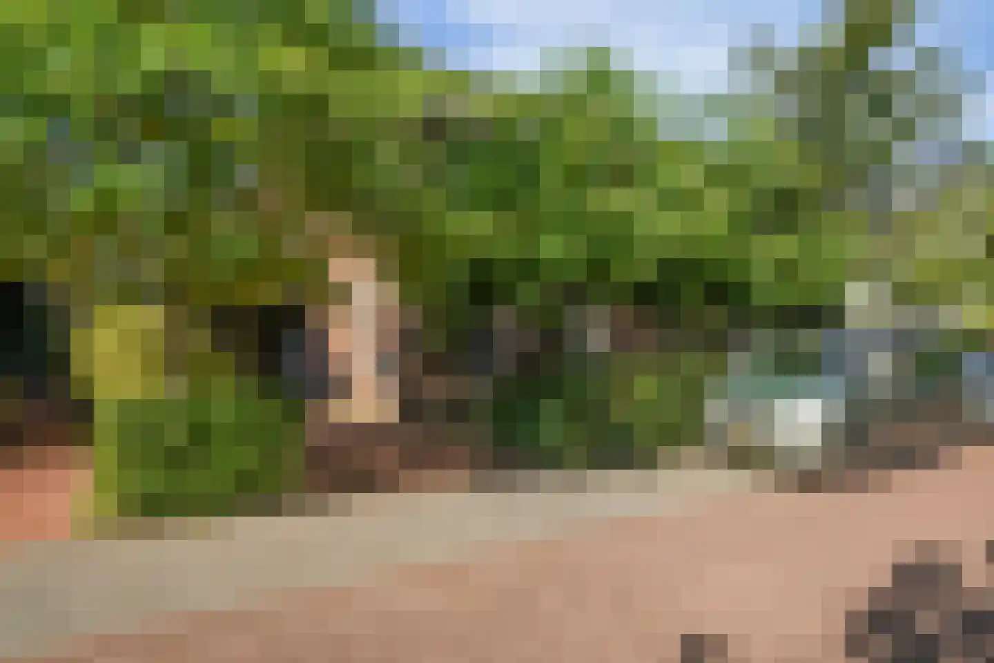 Scheidiuslaan 27 Arnhem thumbnail 33