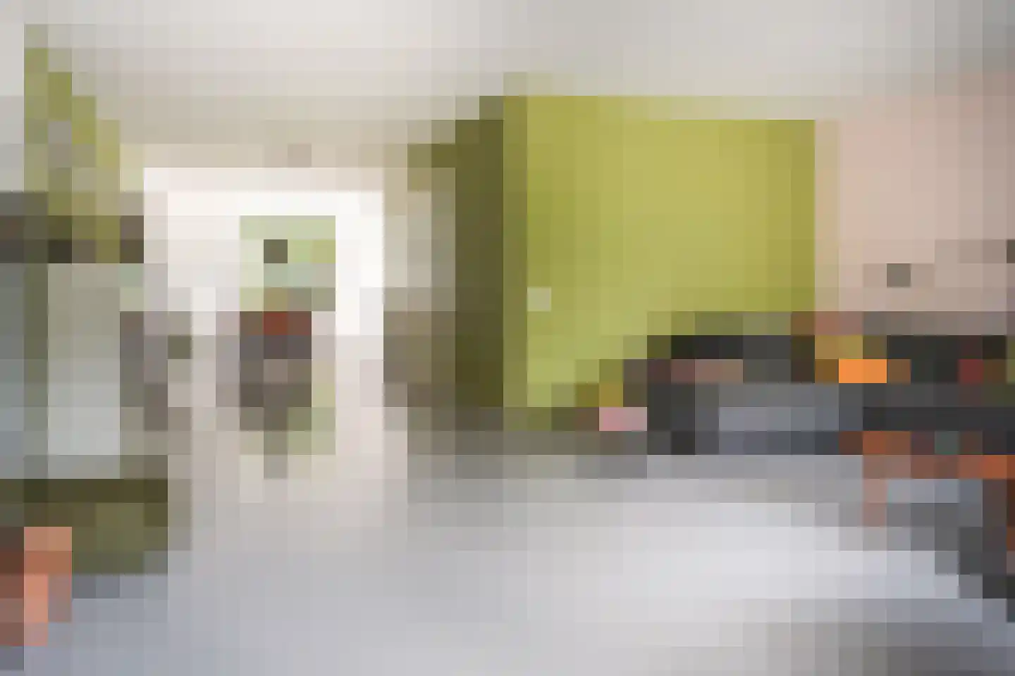 Scheidiuslaan 27 Arnhem thumbnail 8