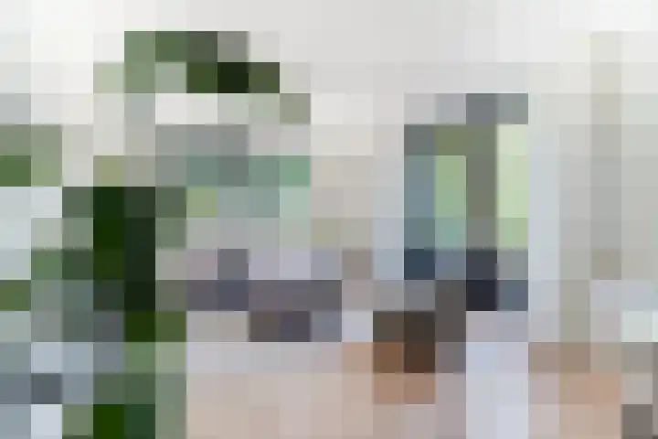 Scheidiuslaan 50 Arnhem thumbnail 13