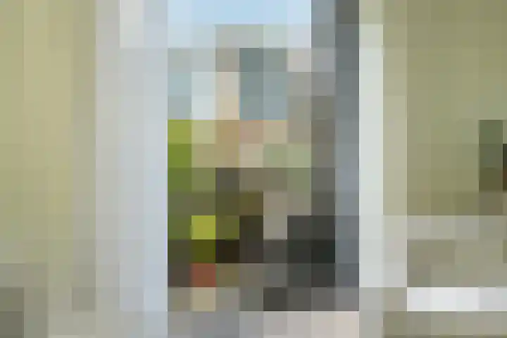 Scheidiuslaan 50 Arnhem thumbnail 18