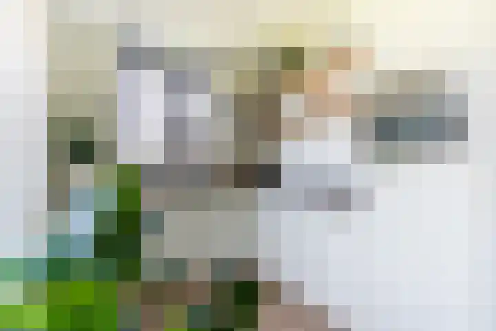 Scheidiuslaan 50 Arnhem thumbnail 21