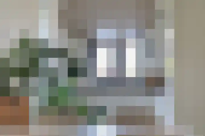Scheidiuslaan 50 Arnhem thumbnail 22