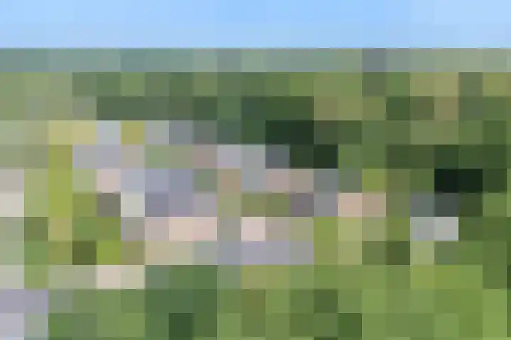 Scheidiuslaan 50 Arnhem thumbnail 35