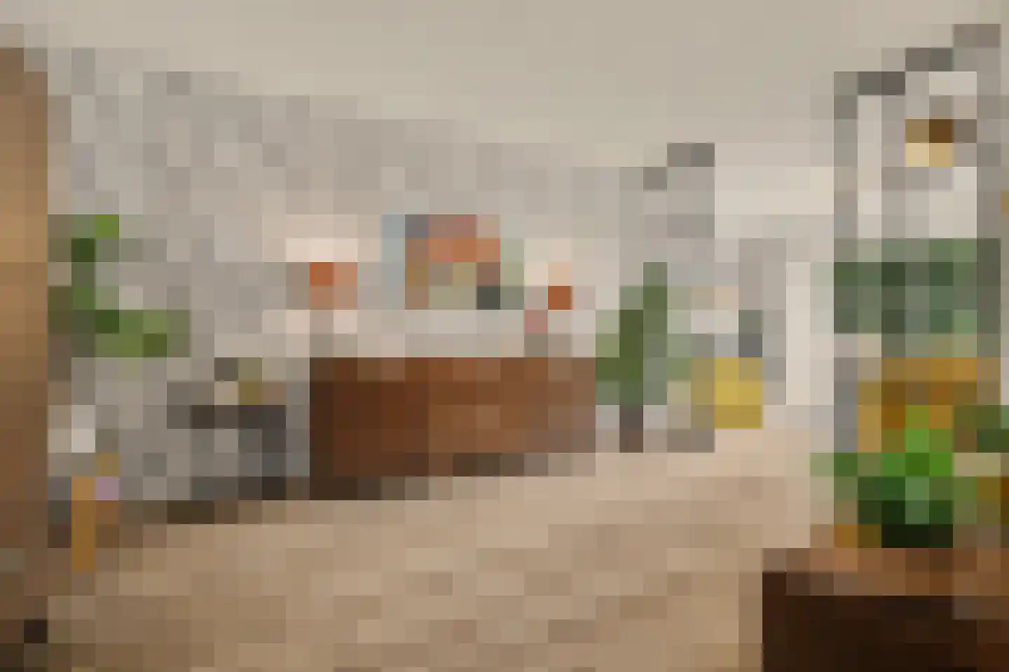 Scheidsgraafsingel 7 Arcen thumbnail 14
