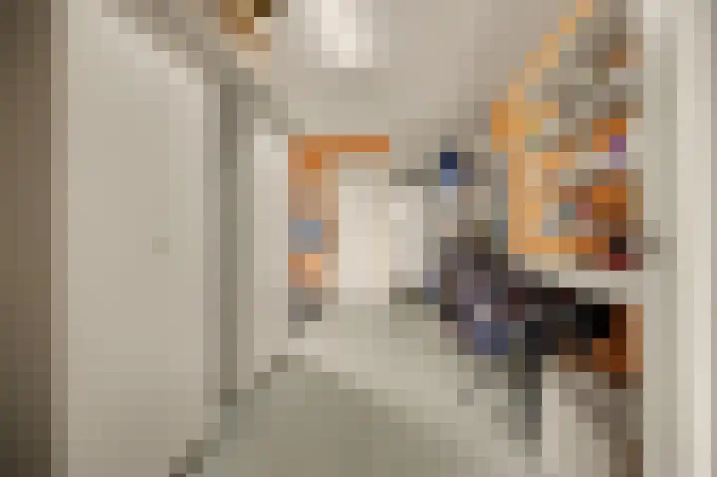 Scheidsgraafsingel 7 Arcen thumbnail 19