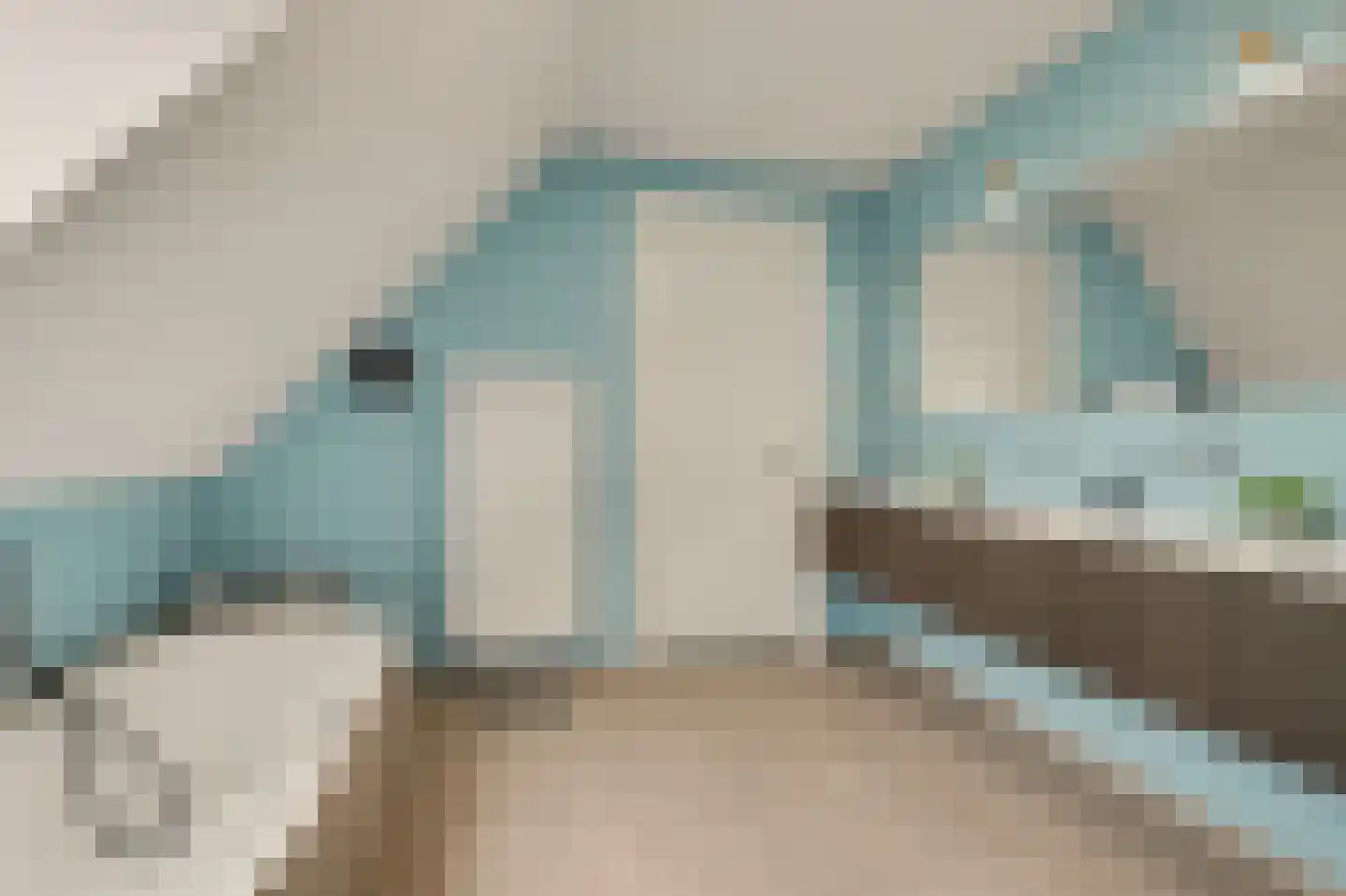 Scheidsgraafsingel 7 Arcen thumbnail 24