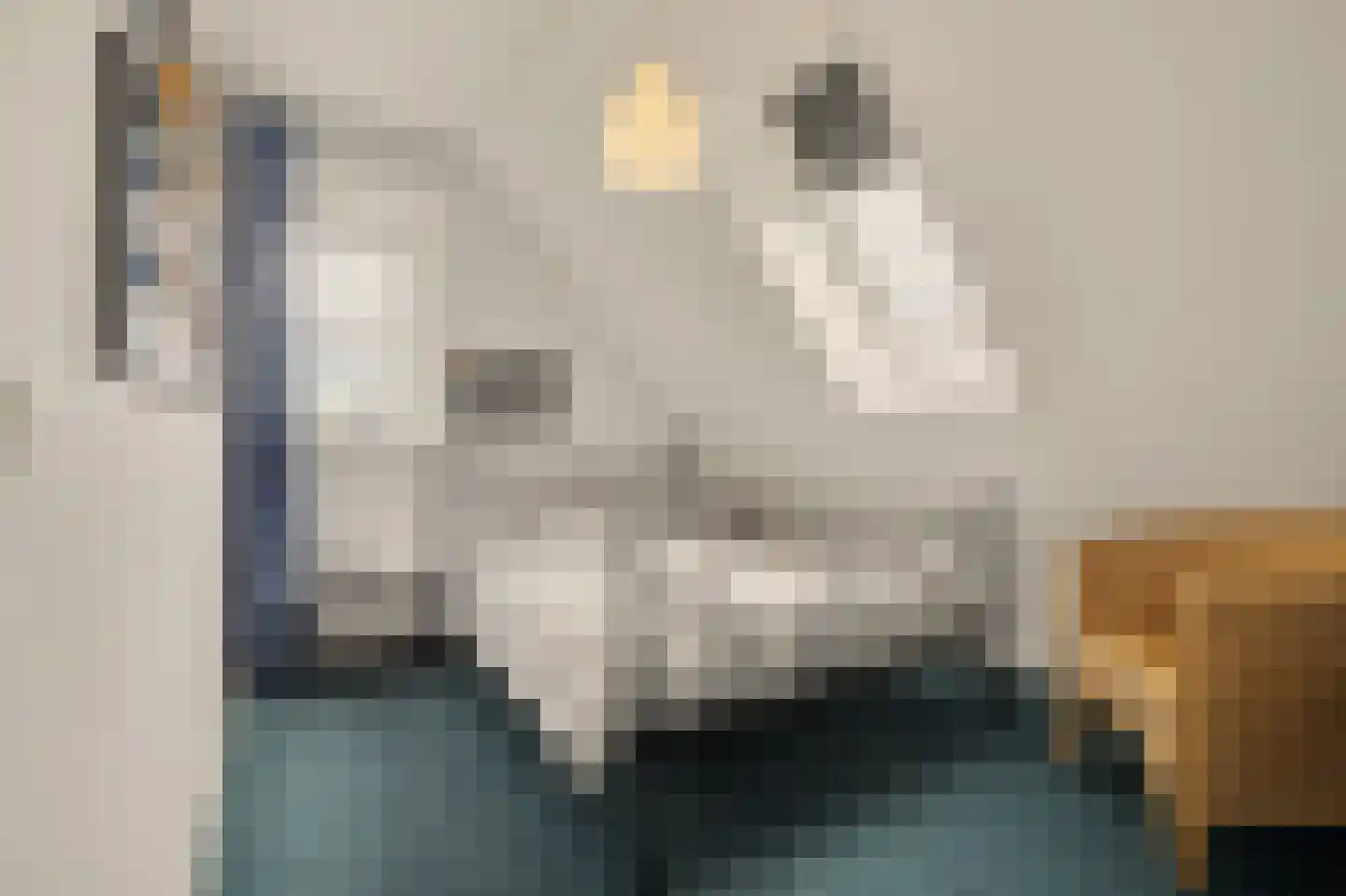 Scheidsgraafsingel 7 Arcen thumbnail 25