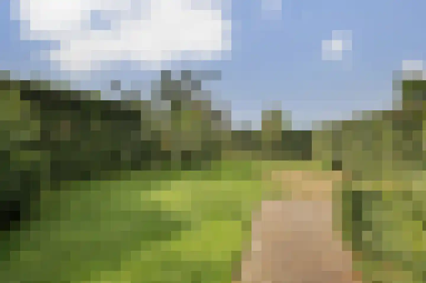 Scheidsgraafsingel 7 Arcen thumbnail 32