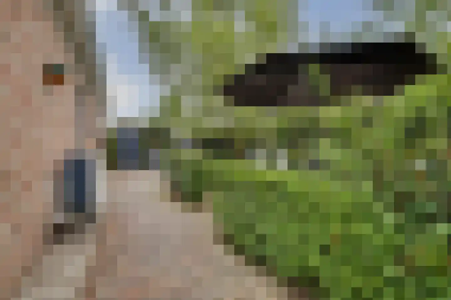 Scheidsgraafsingel 7 Arcen thumbnail 34