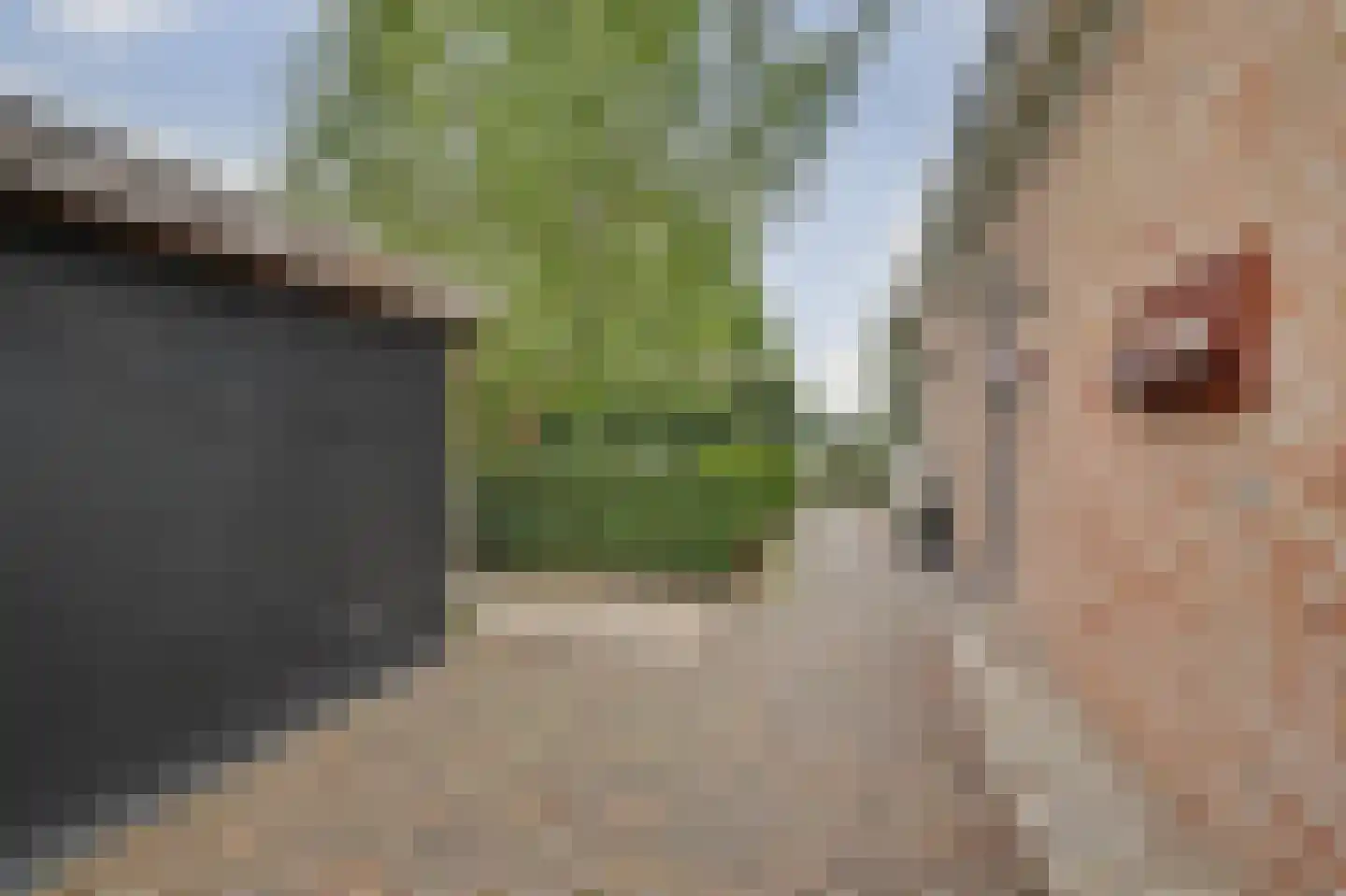Scheidsgraafsingel 7 Arcen thumbnail 35