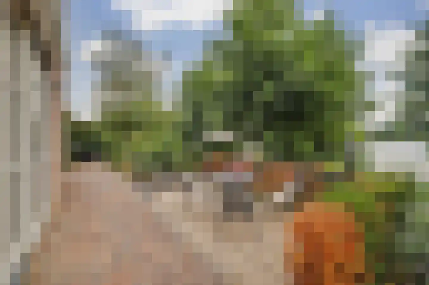Scheidsgraafsingel 7 Arcen thumbnail 37