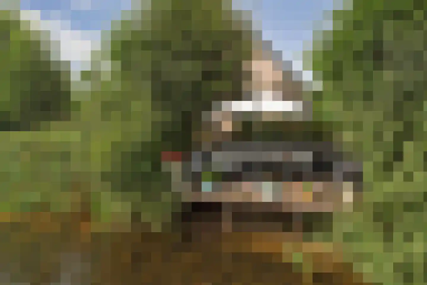 Scheidsgraafsingel 7 Arcen thumbnail 5