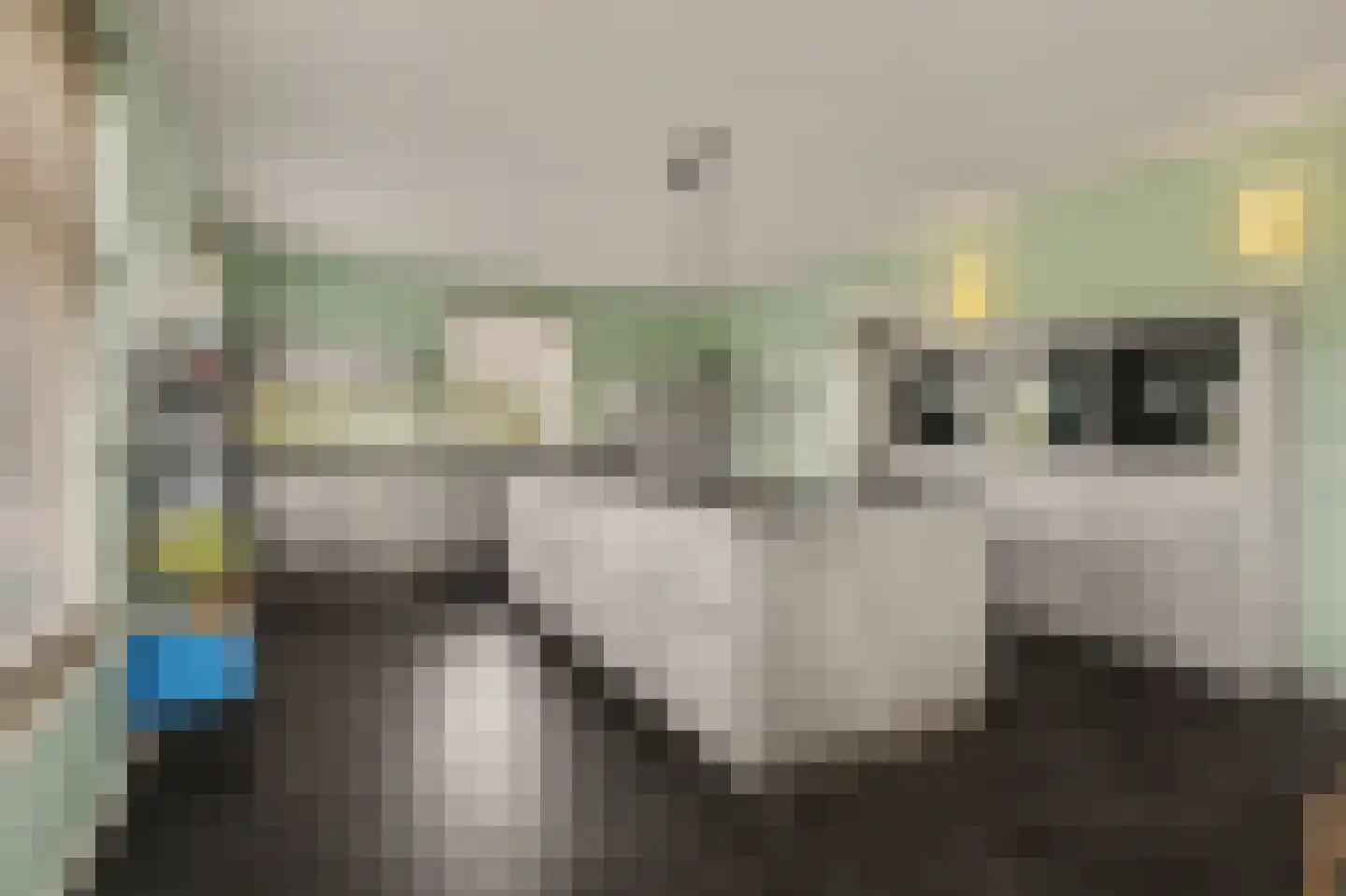 Scheidsgraafsingel 7 Arcen thumbnail 8