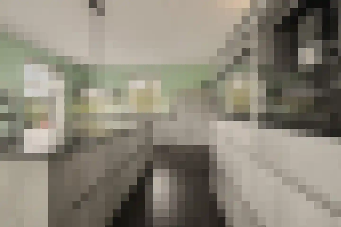 Scheidsgraafsingel 7 Arcen thumbnail 9
