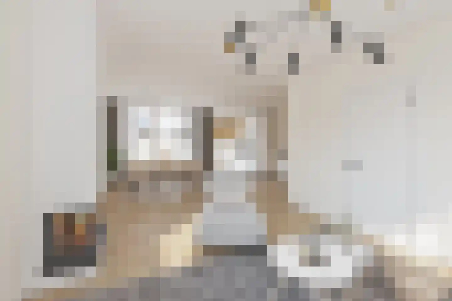 Scheiffart van Merodestraat 19 Limbricht thumbnail 11