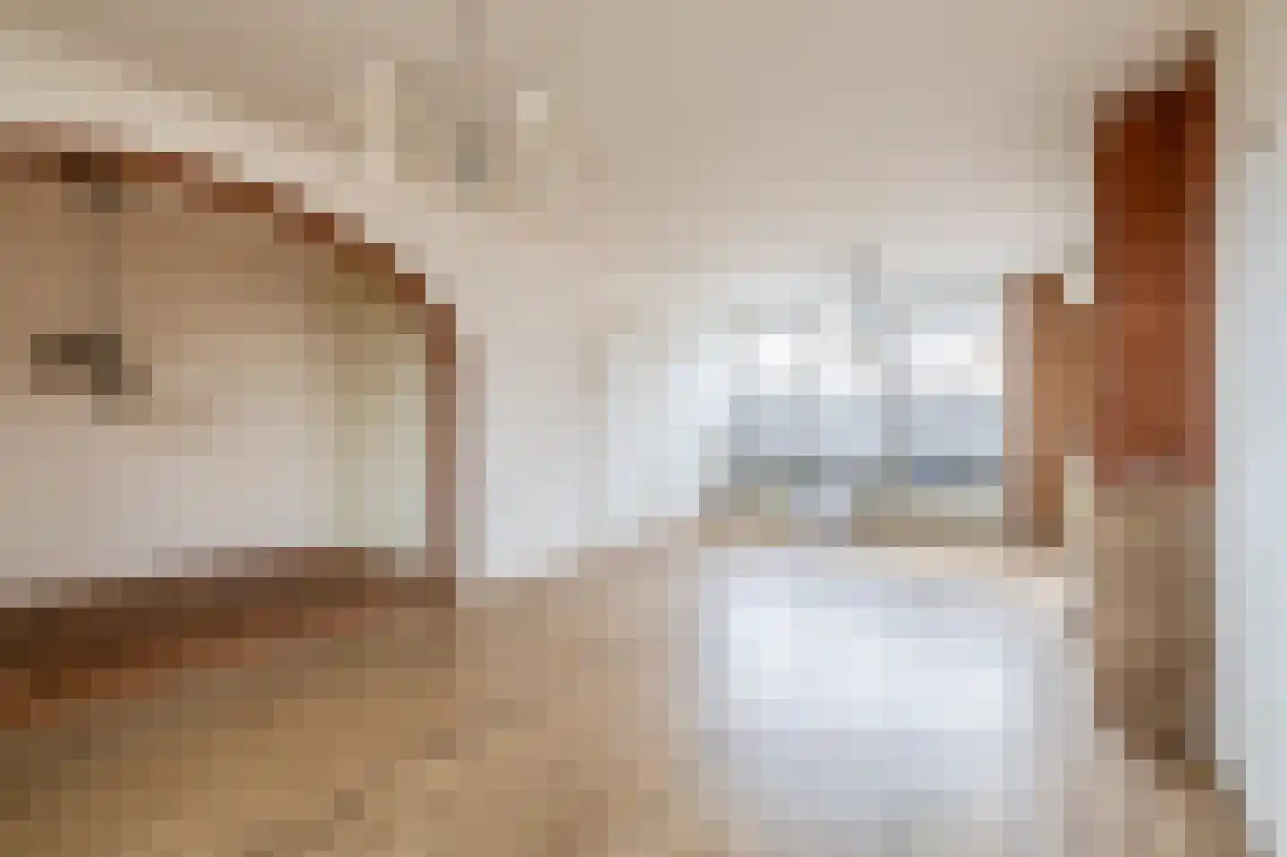 Scheiffart van Merodestraat 19 Limbricht thumbnail 12