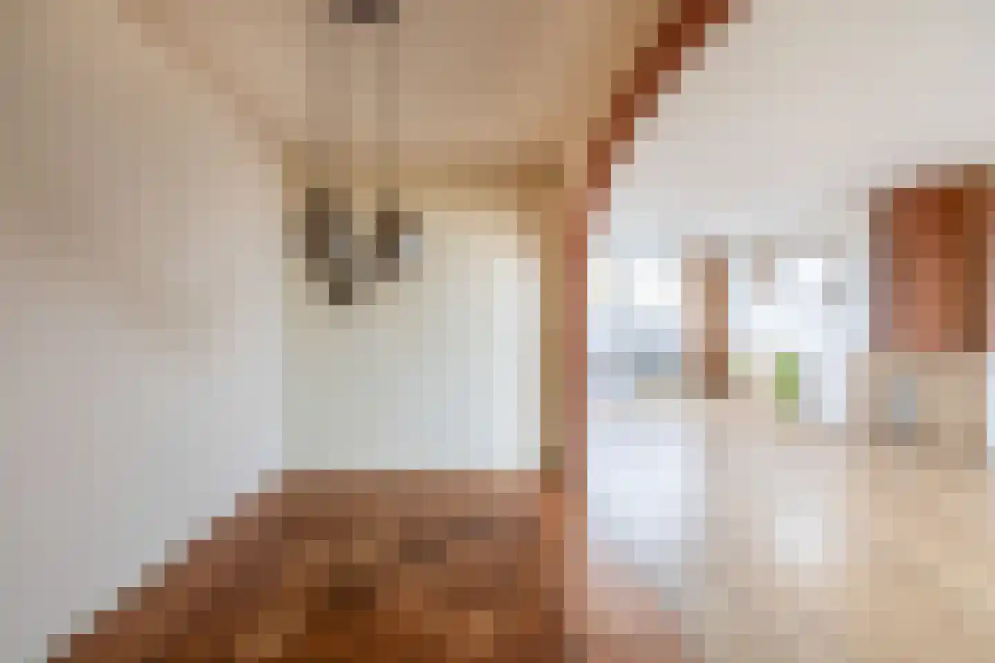 Scheiffart van Merodestraat 19 Limbricht thumbnail 13