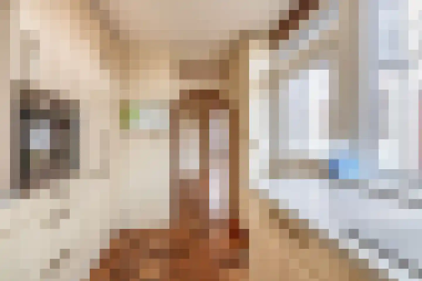 Scheiffart van Merodestraat 19 Limbricht thumbnail 16