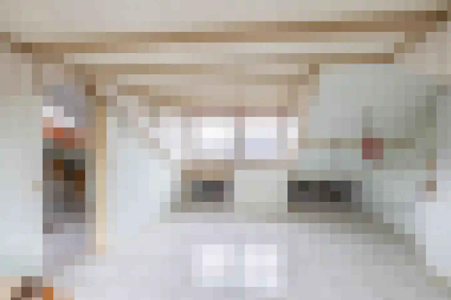 Scheiffart van Merodestraat 19 Limbricht thumbnail 32