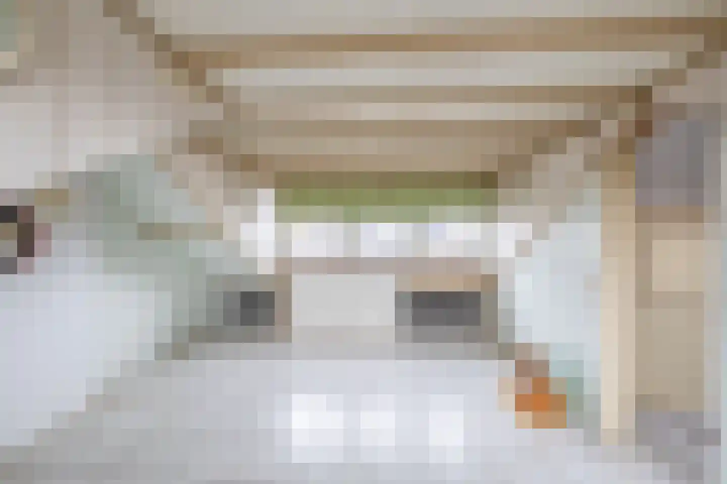 Scheiffart van Merodestraat 19 Limbricht thumbnail 33