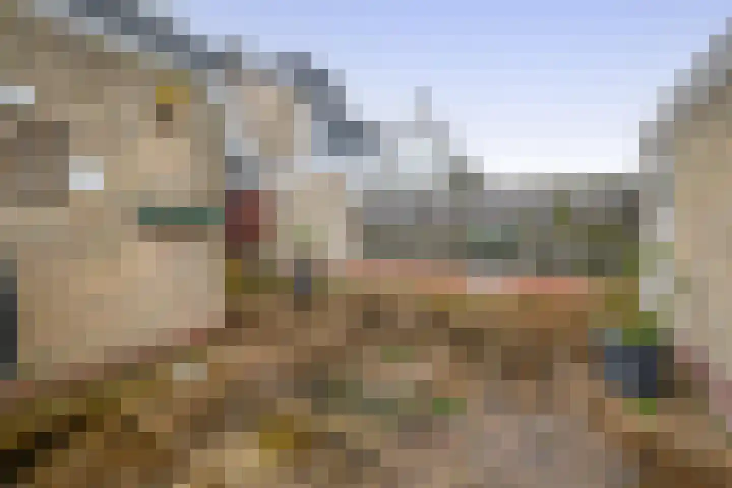 Scheiffart van Merodestraat 19 Limbricht thumbnail 39