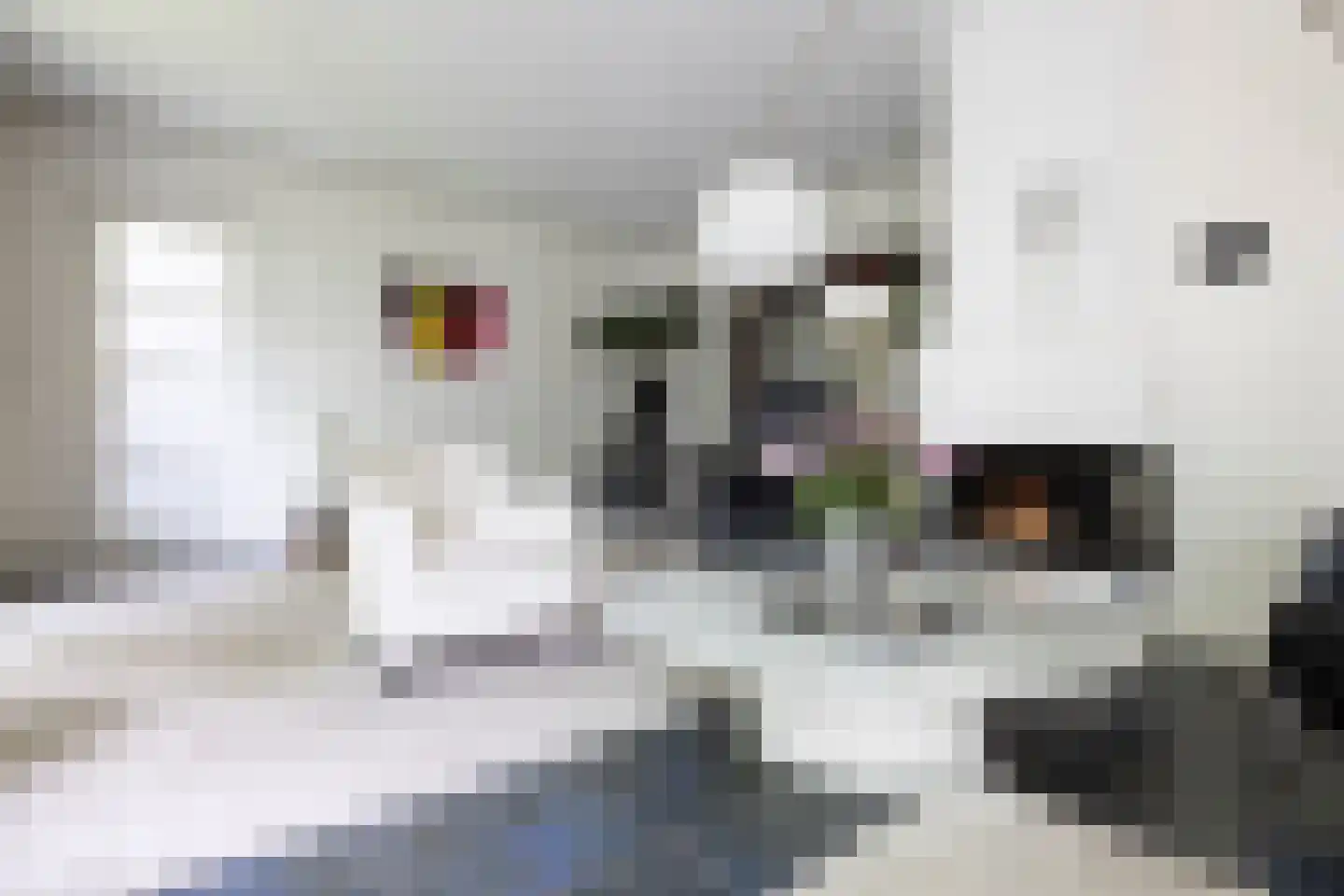 Scheijbeecklaan 32 Beverwijk thumbnail 11