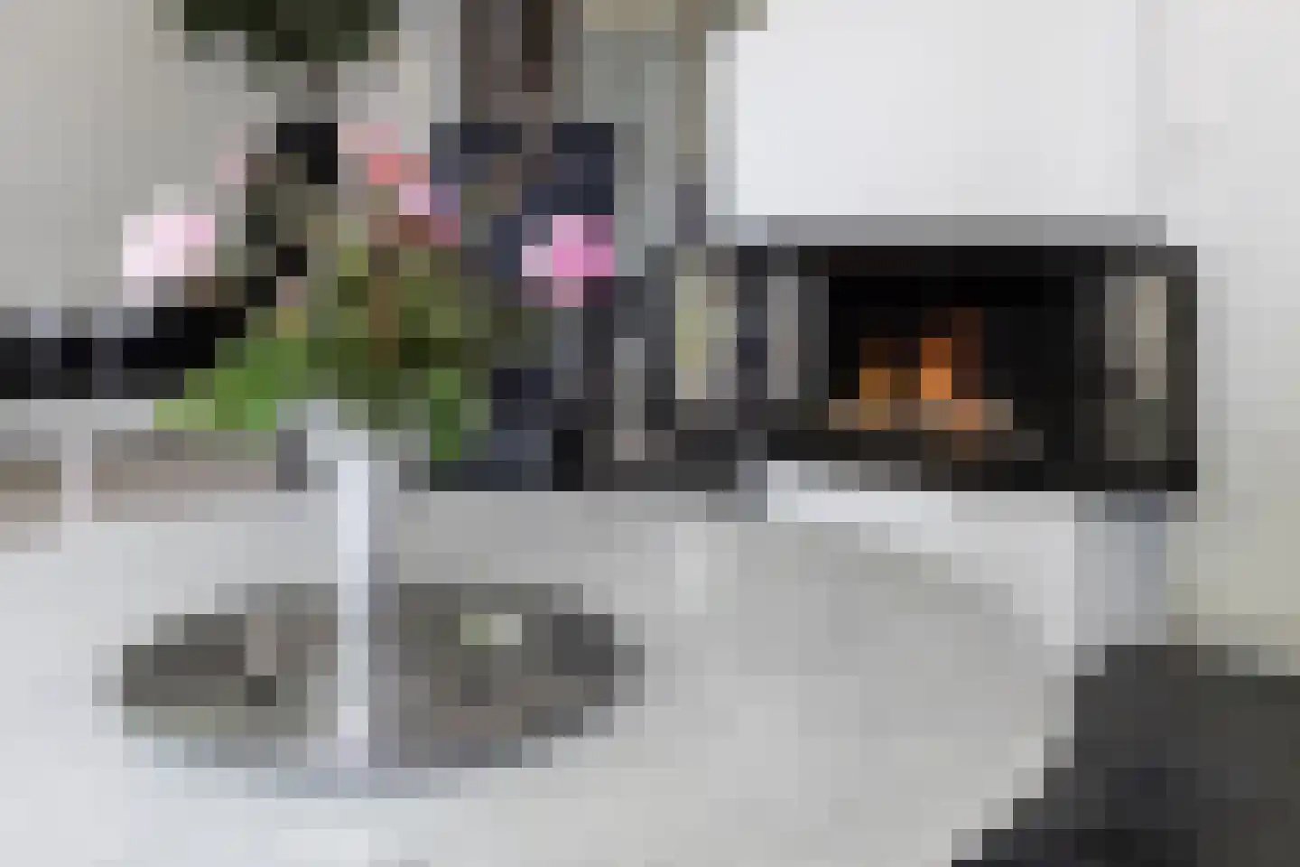 Scheijbeecklaan 32 Beverwijk thumbnail 13