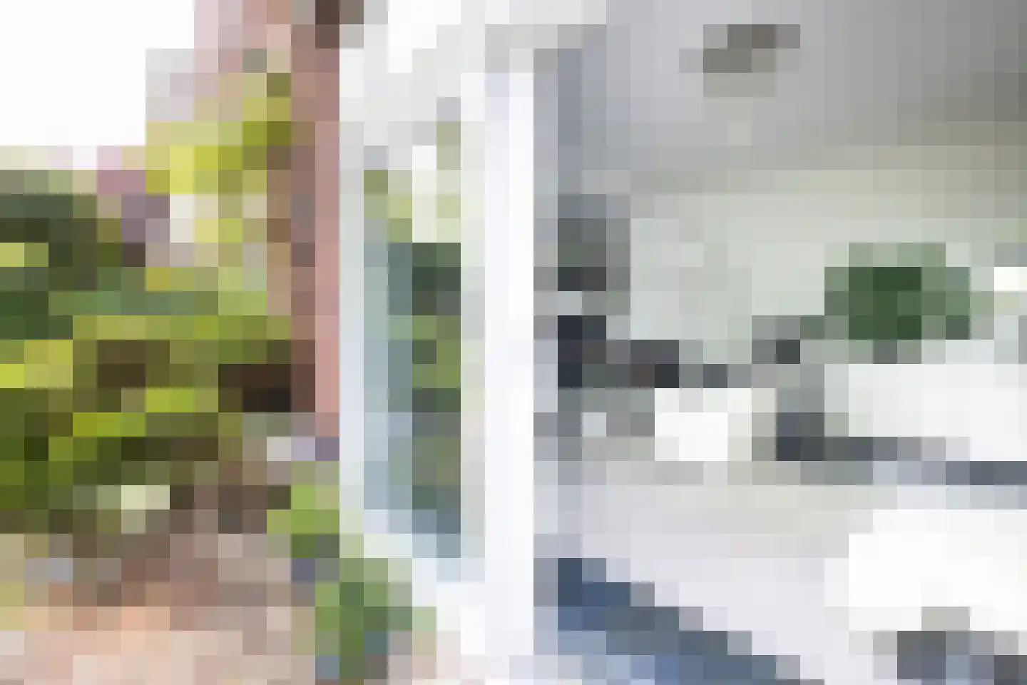 Scheijbeecklaan 32 Beverwijk thumbnail 18