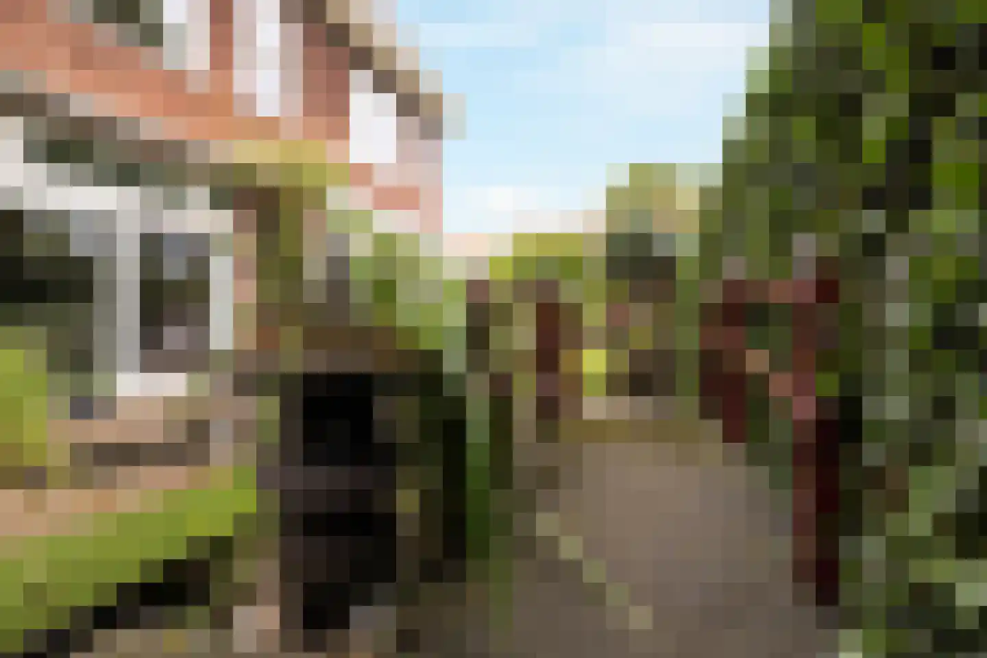 Scheijbeecklaan 32 Beverwijk thumbnail 20