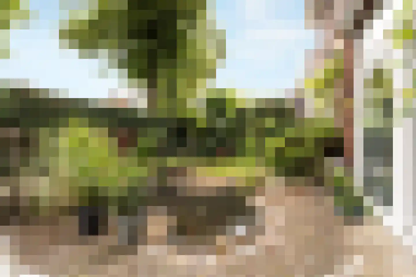 Scheijbeecklaan 32 Beverwijk thumbnail 22