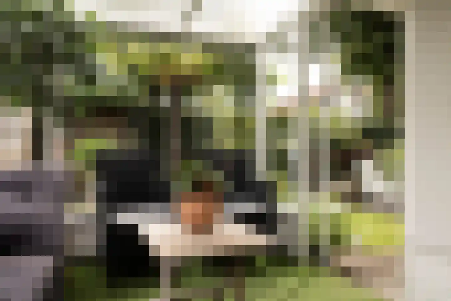 Scheijbeecklaan 32 Beverwijk thumbnail 25