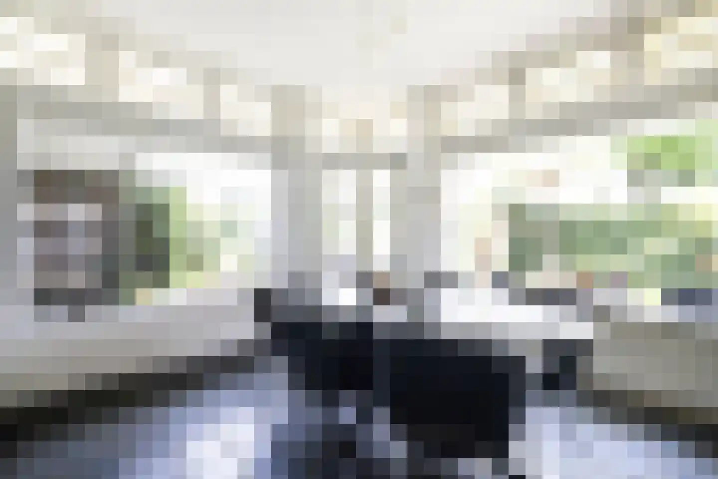 Scheijbeecklaan 32 Beverwijk thumbnail 27