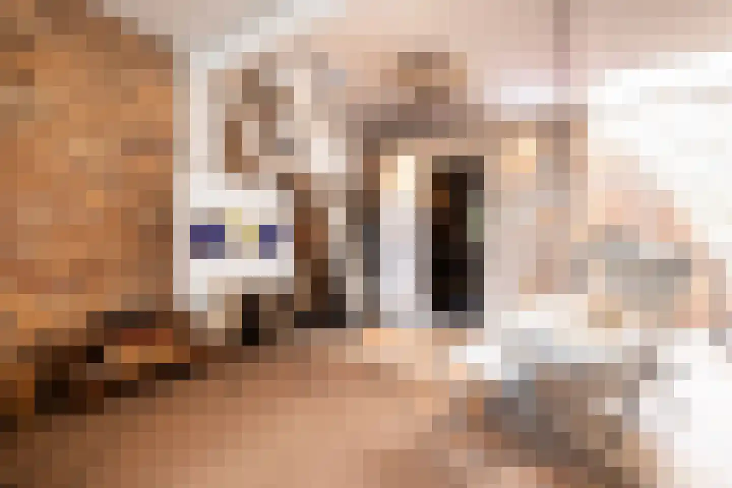 Scheijbeecklaan 32 Beverwijk thumbnail 32
