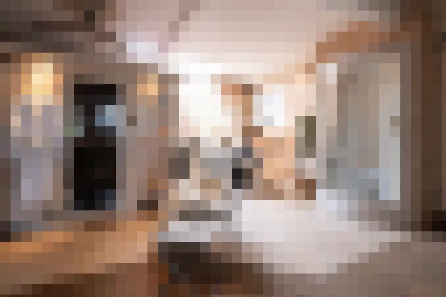 Scheijbeecklaan 32 Beverwijk thumbnail 33