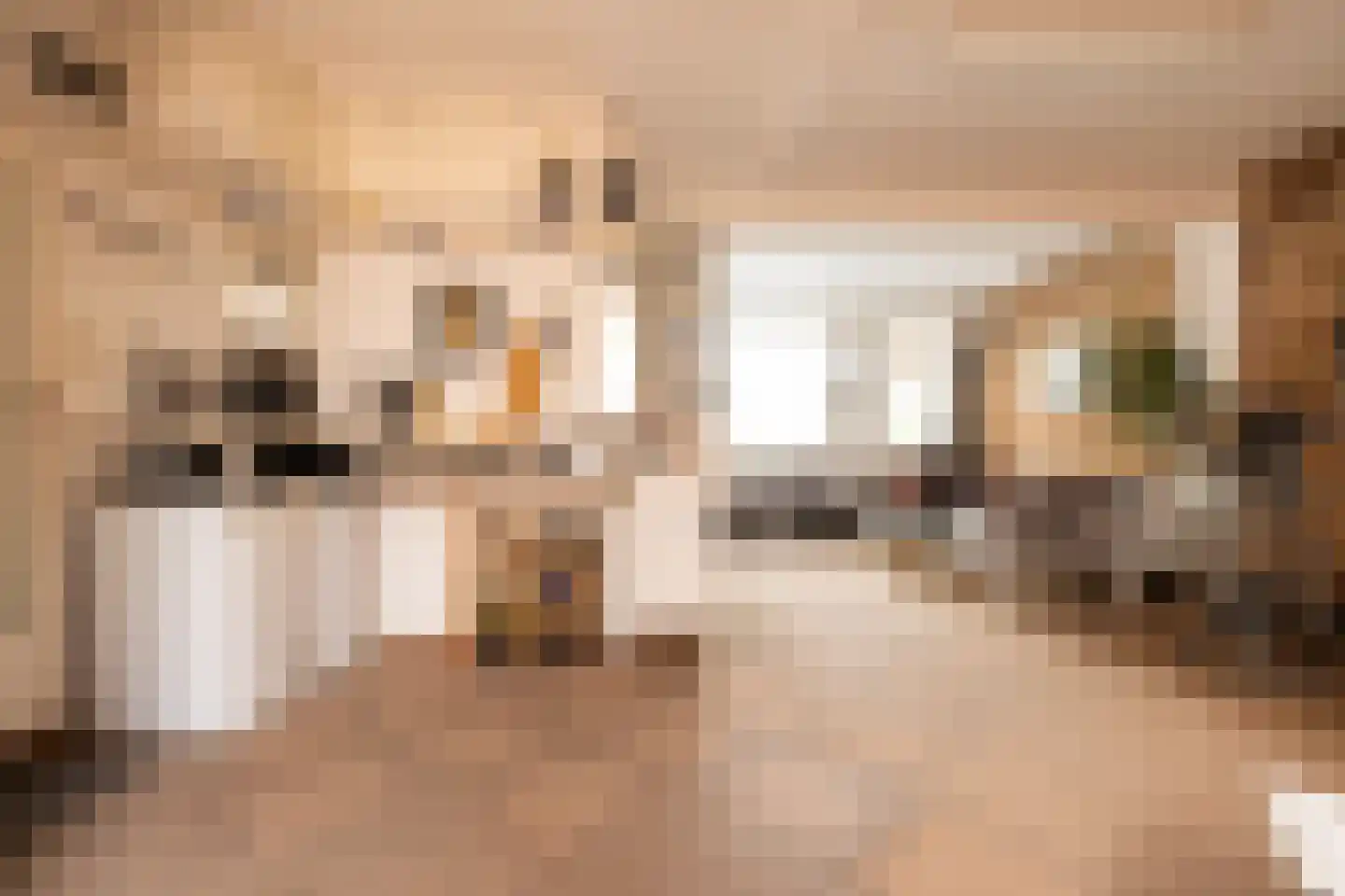 Scheijbeecklaan 32 Beverwijk thumbnail 34