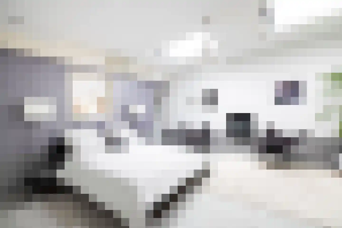 Scheijbeecklaan 32 Beverwijk thumbnail 35
