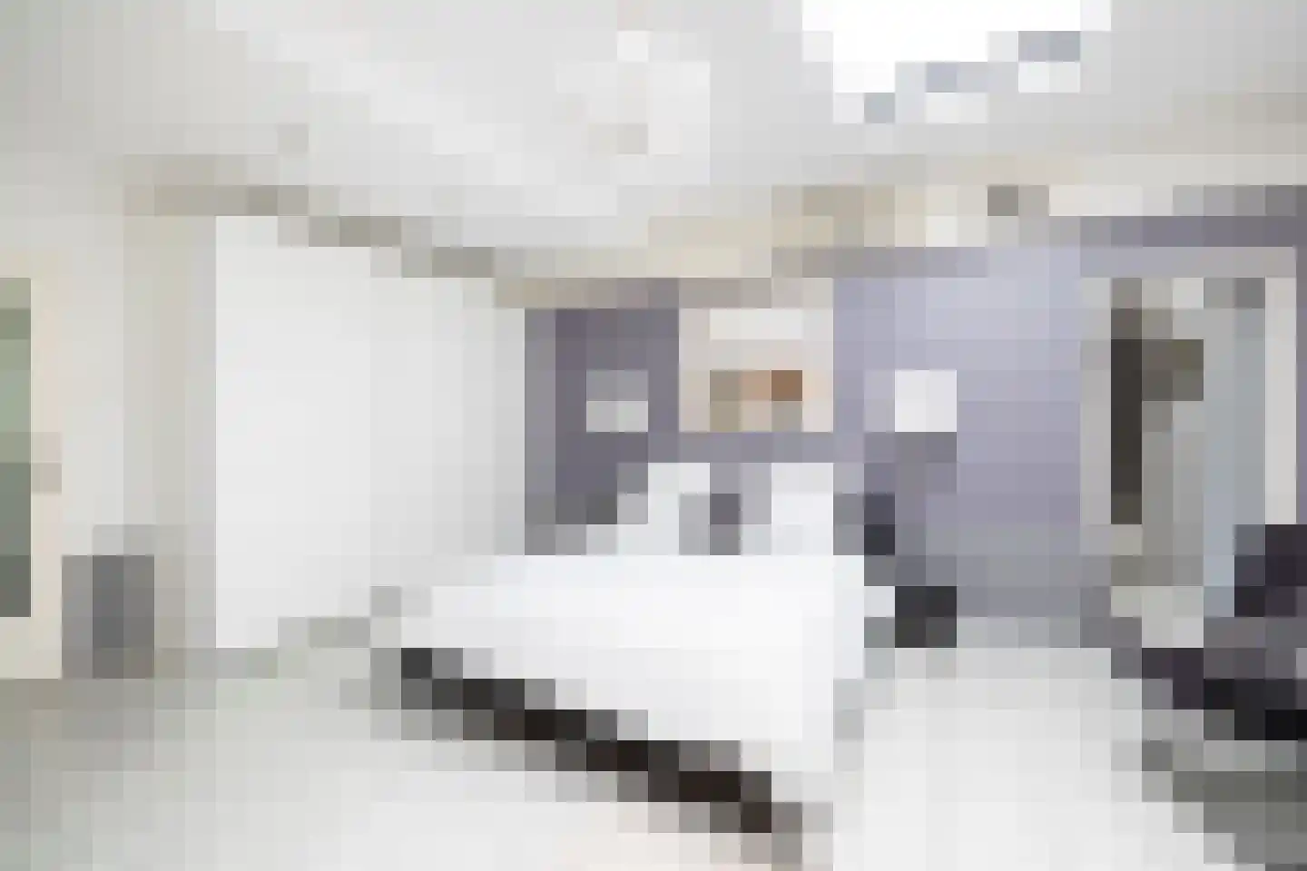 Scheijbeecklaan 32 Beverwijk thumbnail 36