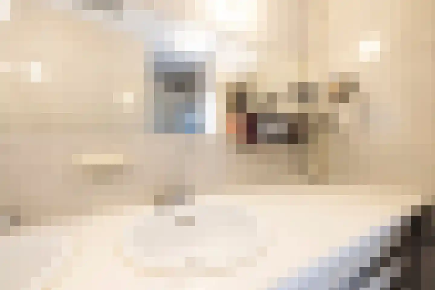 Scheijbeecklaan 32 Beverwijk thumbnail 43