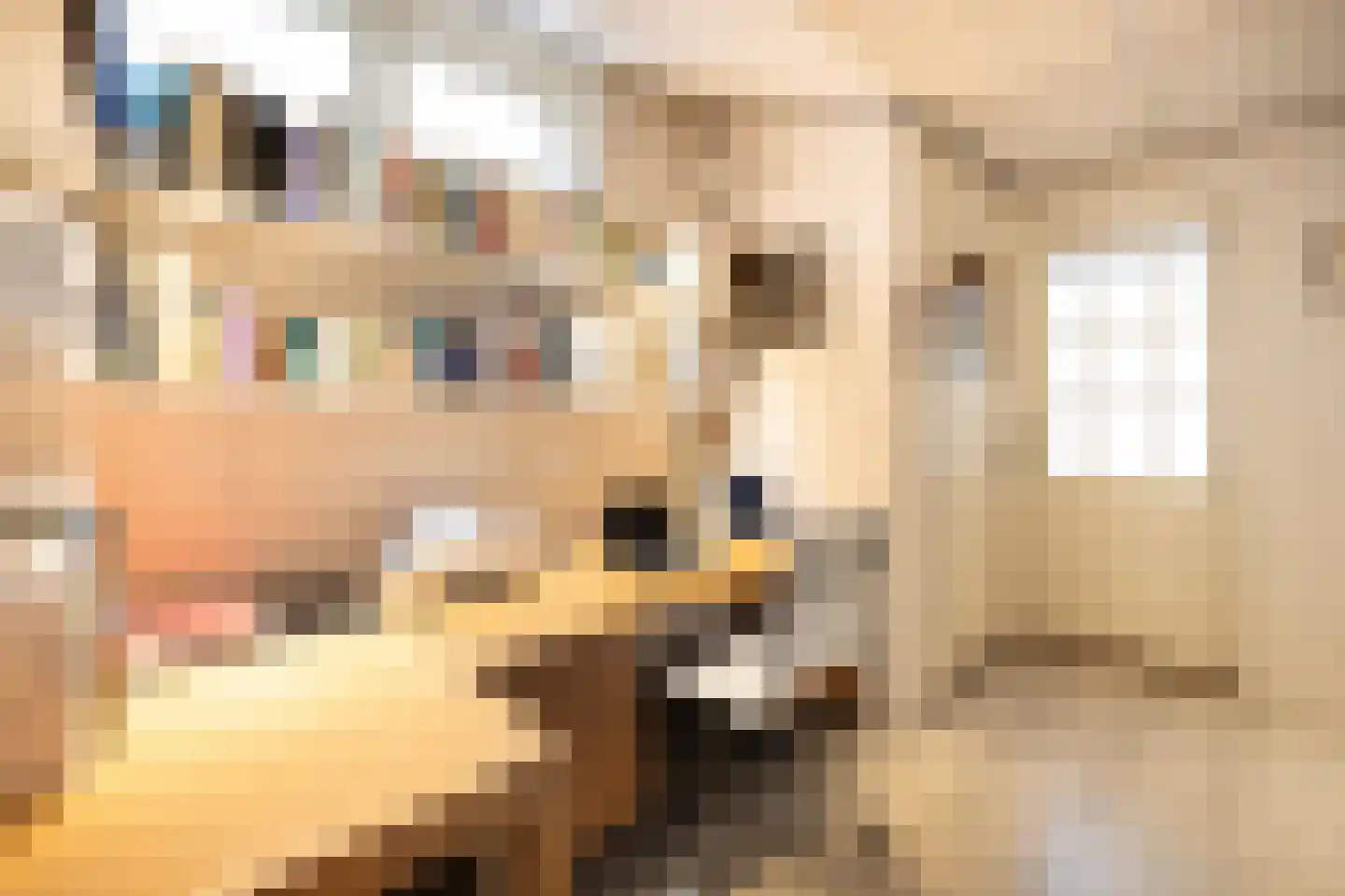 Scheijbeecklaan 32 Beverwijk thumbnail 45