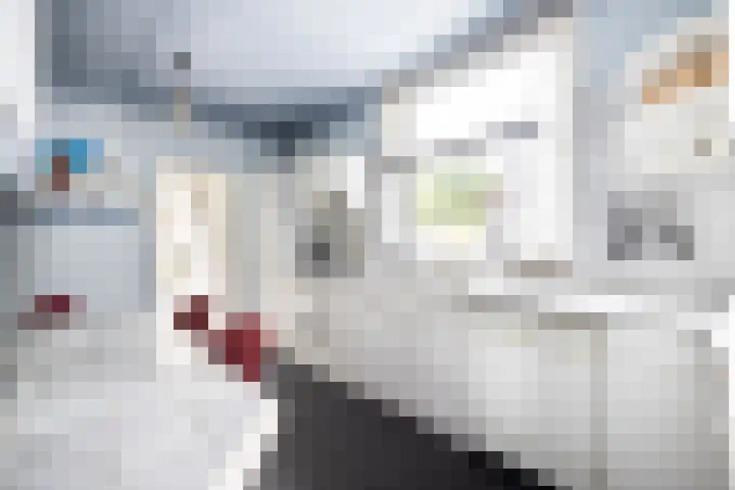 Scheijbeecklaan 32 Beverwijk thumbnail 55