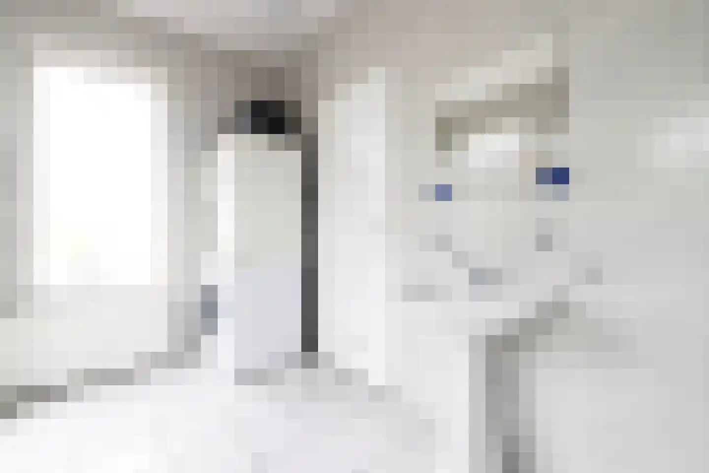 Scheijbeecklaan 32 Beverwijk thumbnail 57