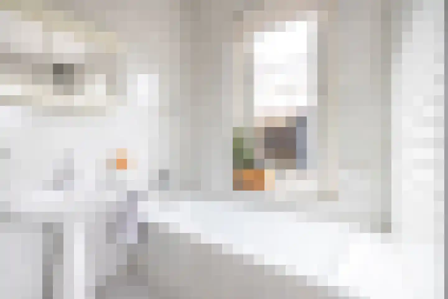 Scheijbeecklaan 32 Beverwijk thumbnail 58
